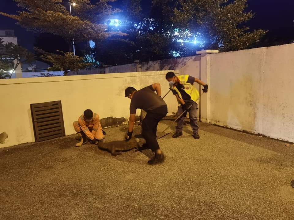 ★1月20日见报/【有故事的人】/热血青年当义务消防员