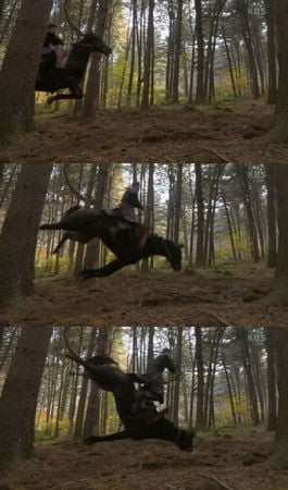 《太宗李芳远》涉虐动物 剧组认马拍完戏1周后死亡