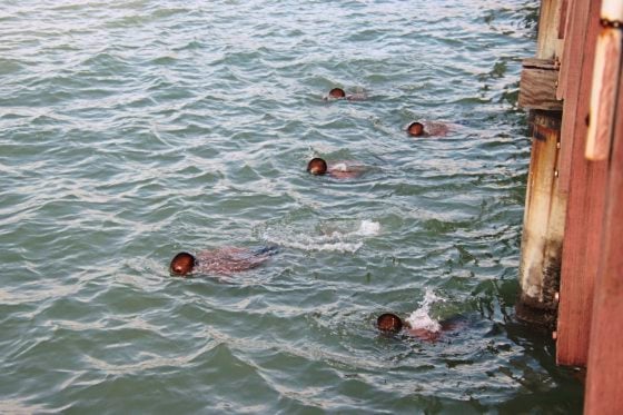 【海军特种部队PASKAL/02】海上反恐精英,骁勇善战击退海盗