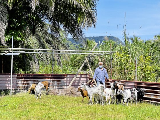 【砂拉越独门年味／02】跨文化的风味──华人餐桌上的牛羊盛宴