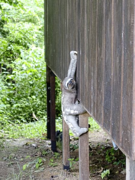 【秘鲁】飞越南半球,寻访古印加的遗迹