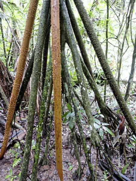 【秘鲁】飞越南半球,寻访古印加的遗迹