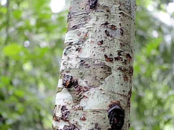 【秘鲁】飞越南半球,寻访古印加的遗迹