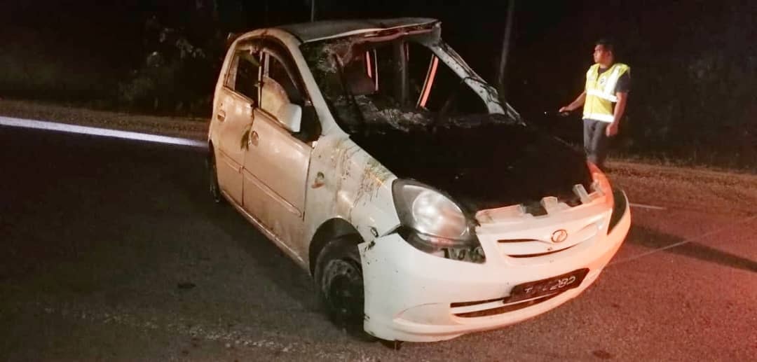 东:一辆轿车为了闪避忽然冲出马路的马来貘而翻覆,轿车乘客头部受重伤,当场死亡。