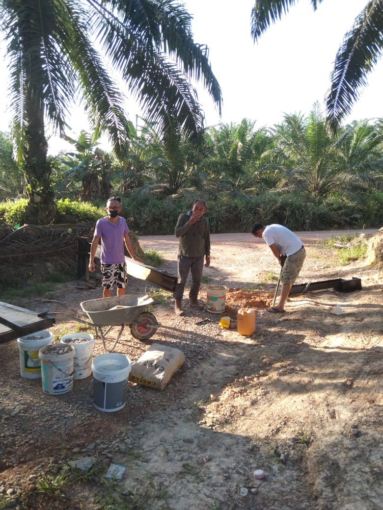 东:巴也朗油棕偷窃案猖獗