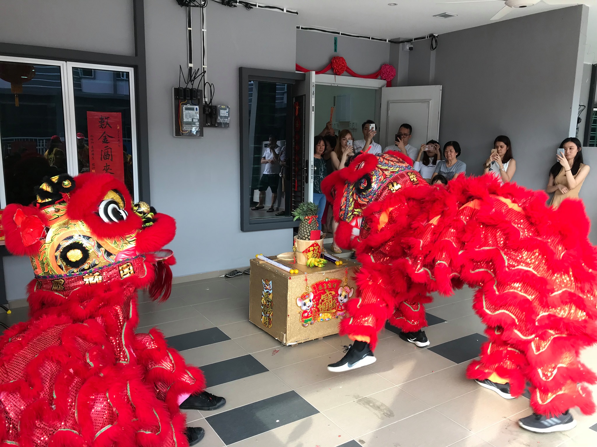 东:直凉行动党弘圣醒狮团接新年预约反应佳