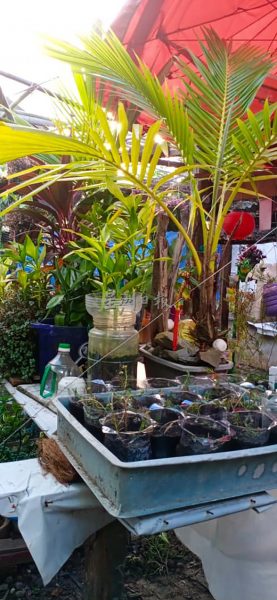 供FB／财神爷施巧手，废物变艺术品