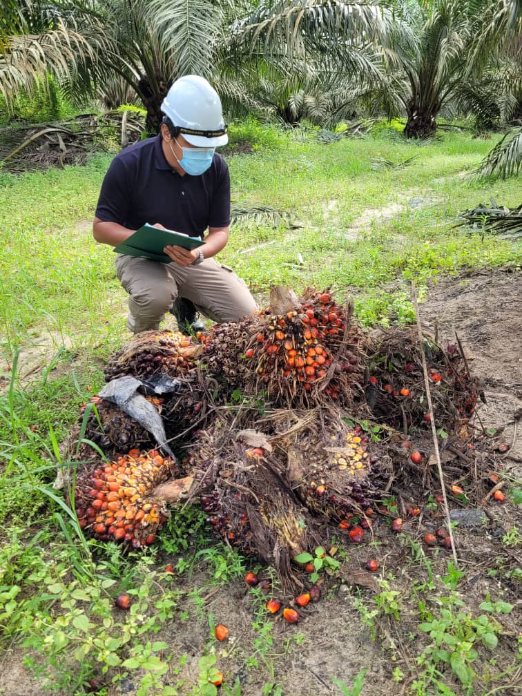 全国:★暖势力(正能量人物):黄世达疫中不得已转跑道,善用所学依旧乐当分享者