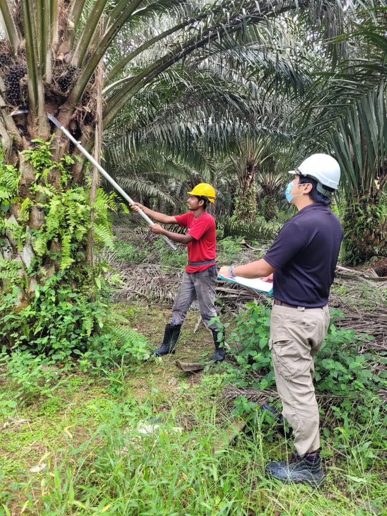 全国:★暖势力(正能量人物):黄世达疫中不得已转跑道,善用所学依旧乐当分享者