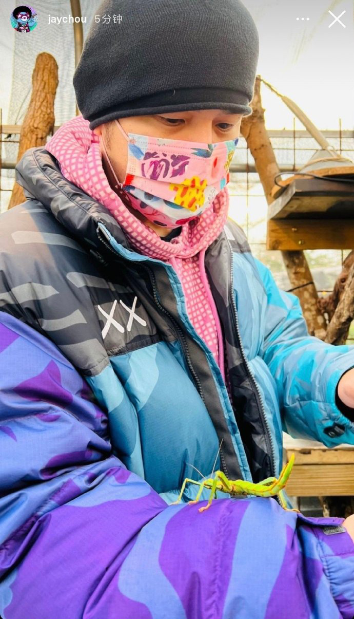 周董生日前夕晒露营照  粉丝催歌“别露了”