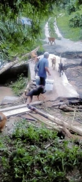 大水冲毁桥梁,筹募重建费用,浪浪挨饿冒险涉水送饭