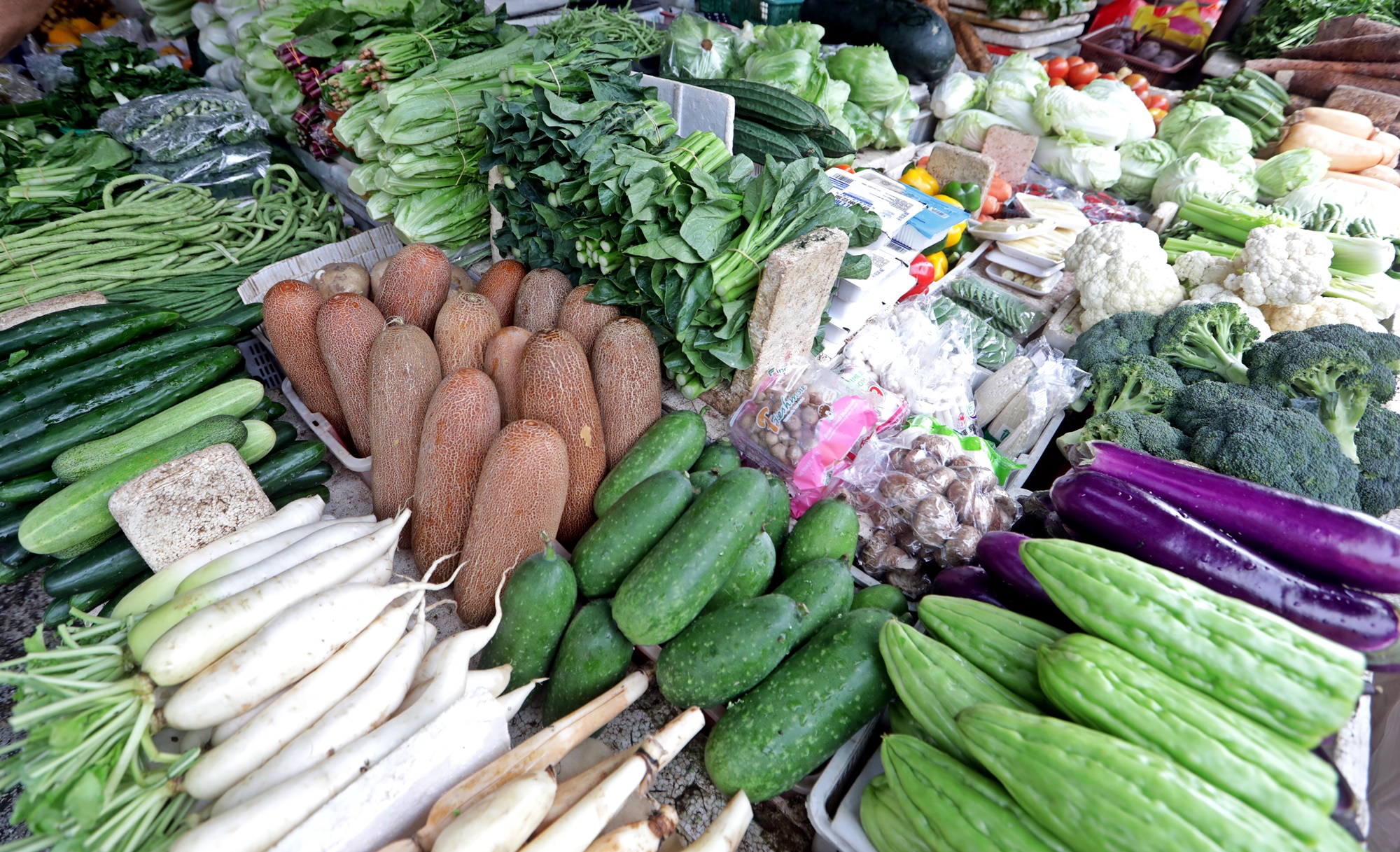 大都会 /封面/跟进大马一家顶价计划延长至2月4日造成小贩只能赚取微薄收入情况 / 12图  