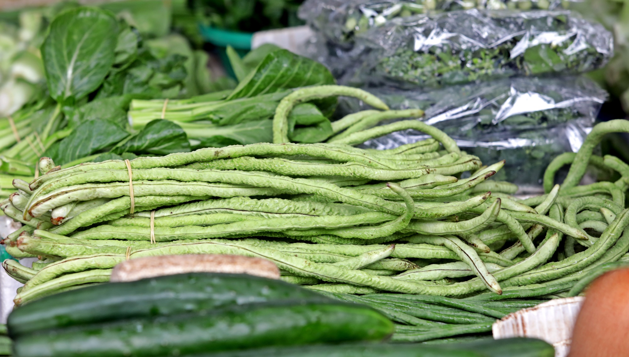 大都会 /封面/跟进大马一家顶价计划延长至2月4日造成小贩只能赚取微薄收入情况 / 12图  