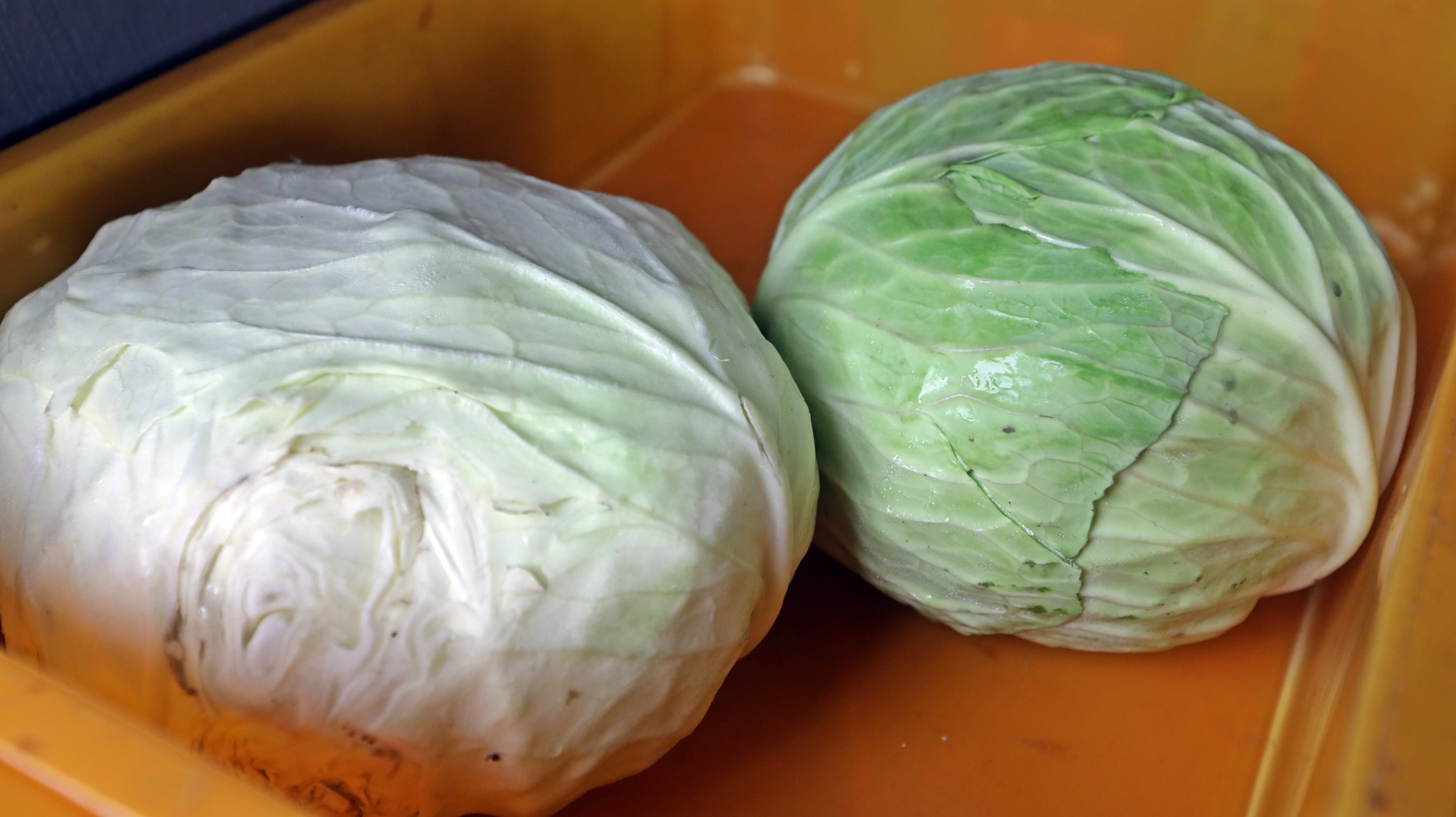 大都会 /封面/跟进大马一家顶价计划延长至2月4日造成小贩只能赚取微薄收入情况 / 12图  