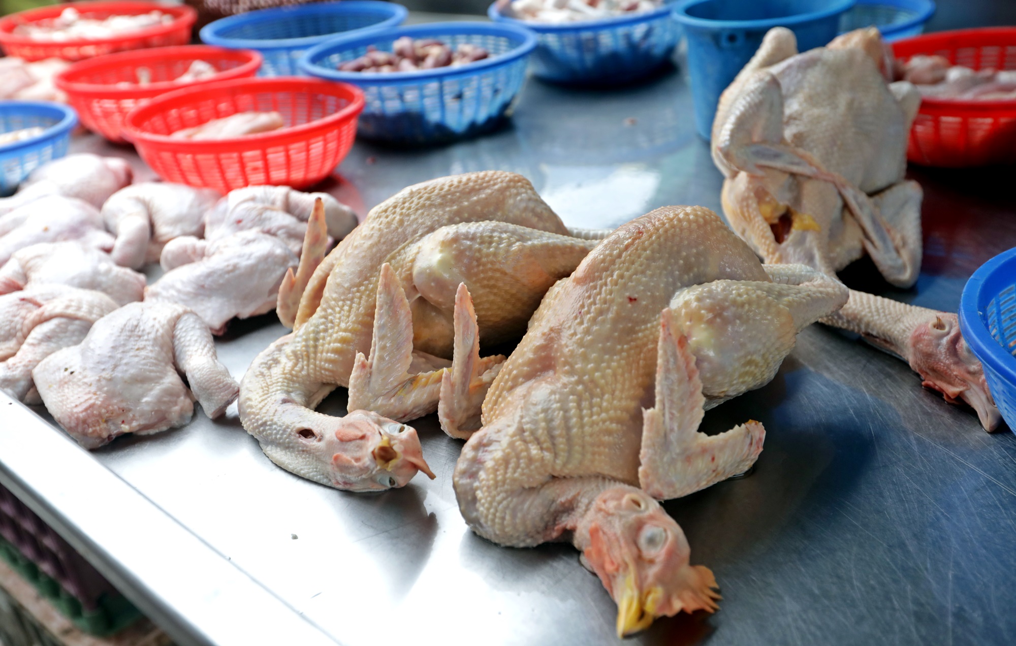 大都会 /封面/跟进大马一家顶价计划延长至2月4日造成小贩只能赚取微薄收入情况 / 12图  