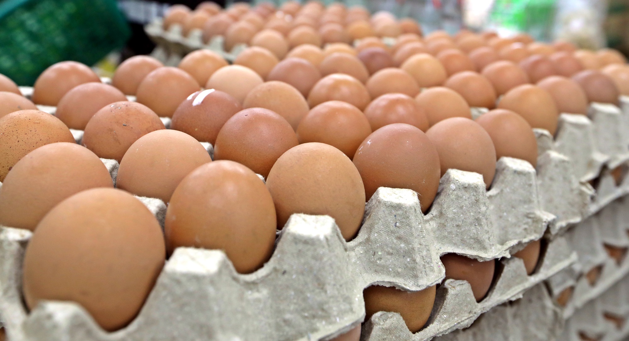 大都会 /封面/跟进大马一家顶价计划延长至2月4日造成小贩只能赚取微薄收入情况 / 12图  