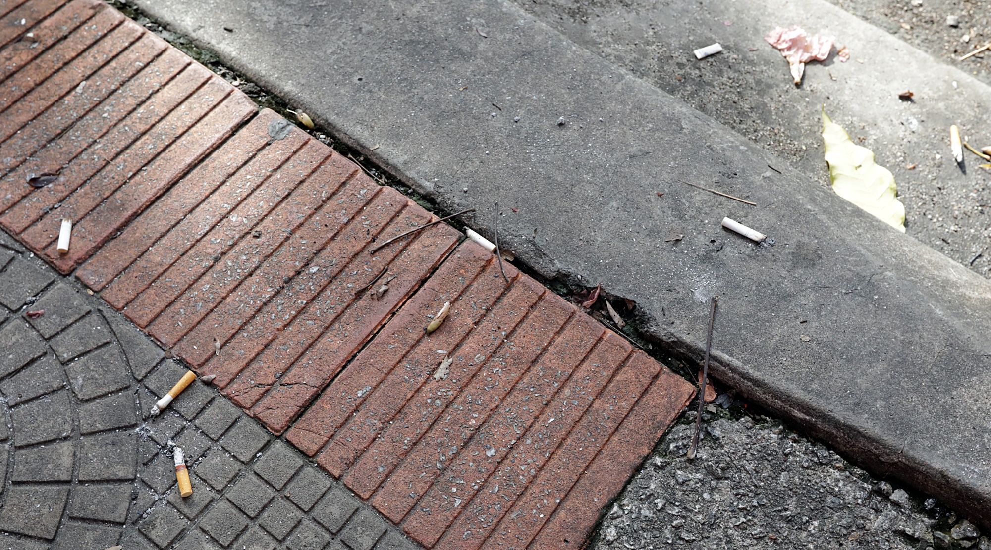 大都会/林立迎举办拾垃圾活动