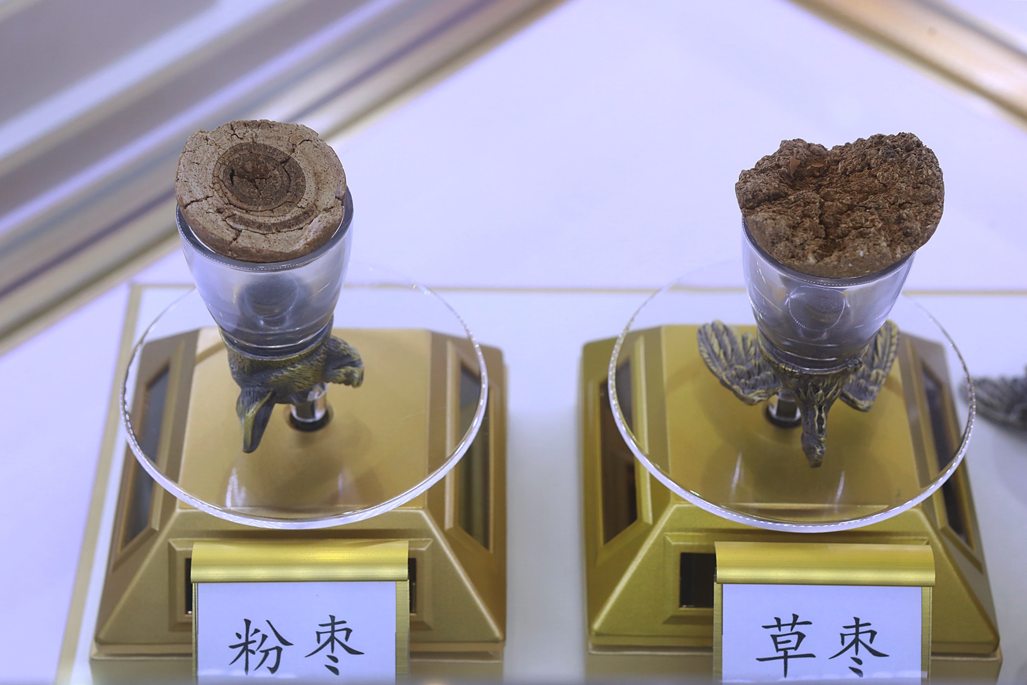 大都会/版头/（奇迹药王）6图—14日见报