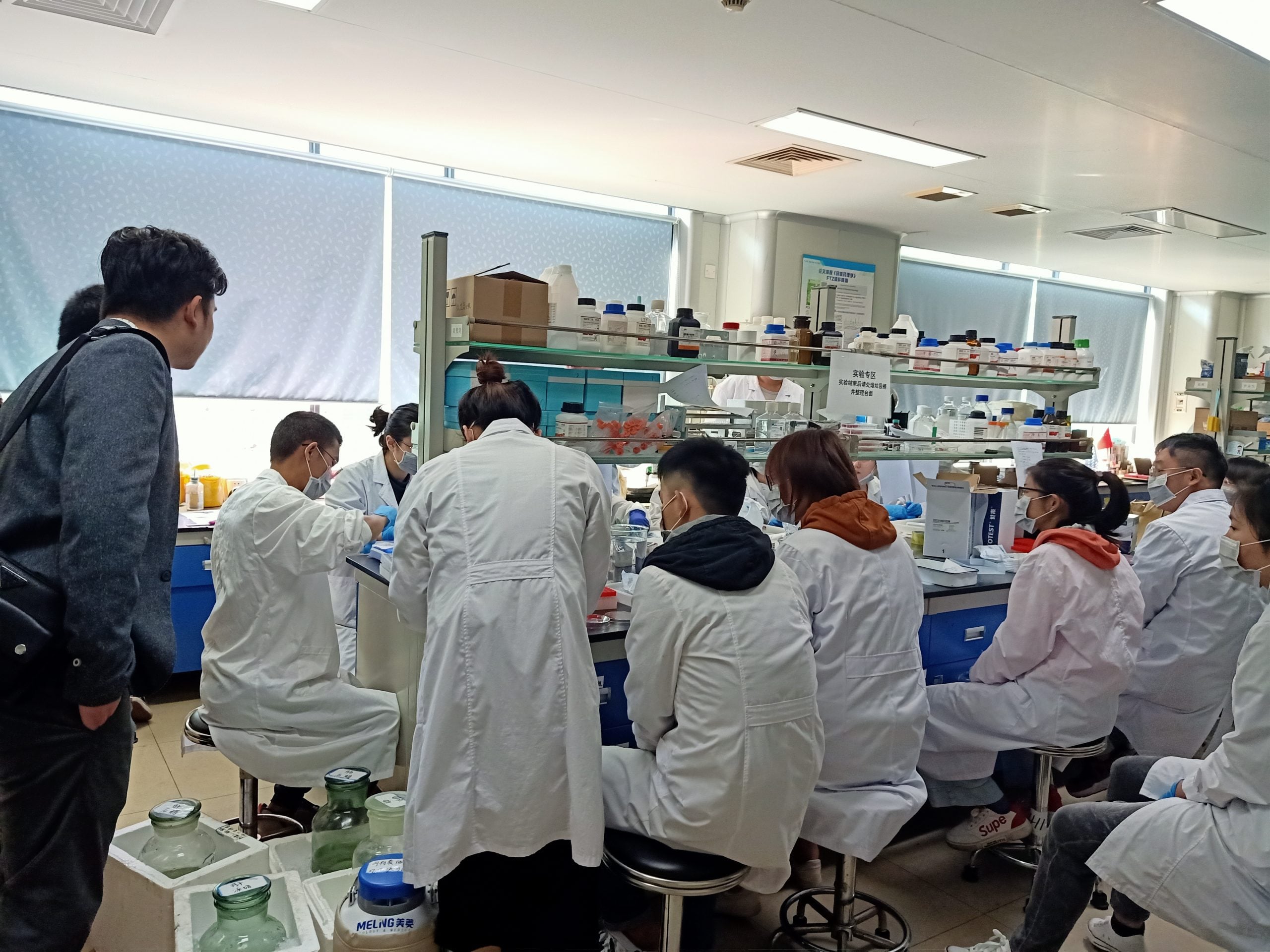 大都会/版头/（奇迹药王）6图—14日见报