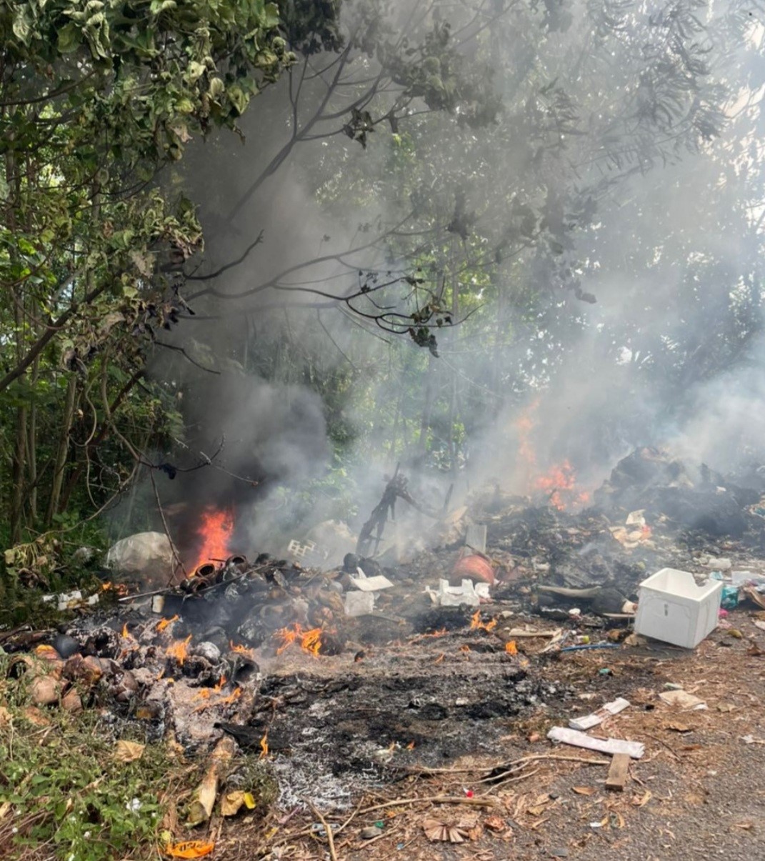 大都会/ME08头/蕉赖皇冠城第8区非法垃圾场遭人焚烧/4图