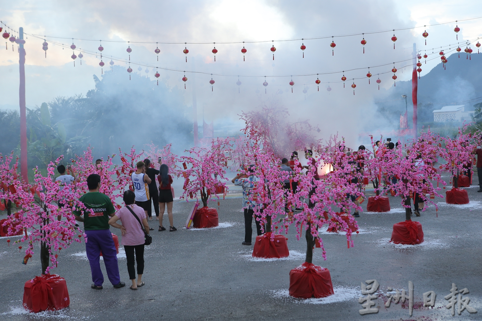 大霹雳时事焦点／兵如港河滨公园簇拥绽放“梅花林” 披春暖花开气息
