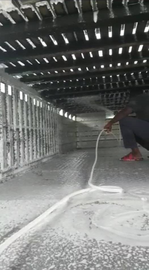 大霹雳时事焦点/兽医局猪农加固防线 霹养猪场无非洲猪瘟
