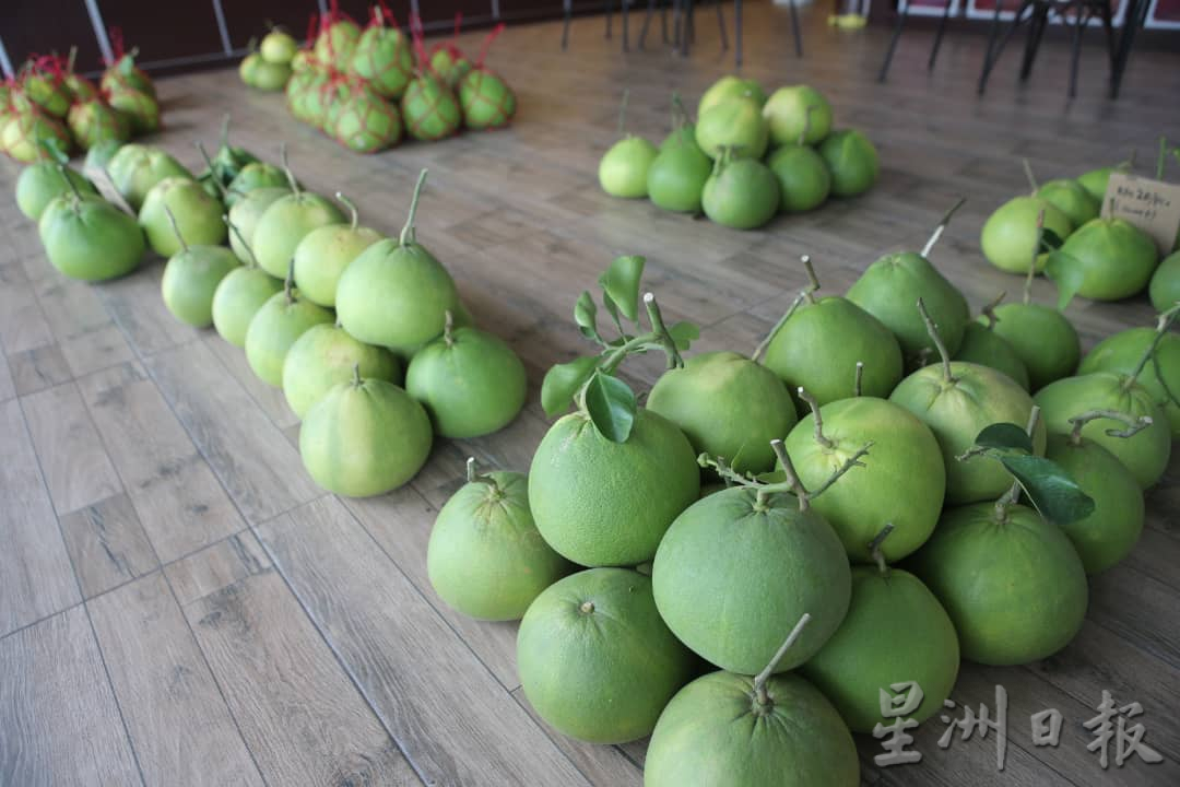 大霹雳时事焦点/雨季影响打扪柚子产量少 新年供不应求价格涨