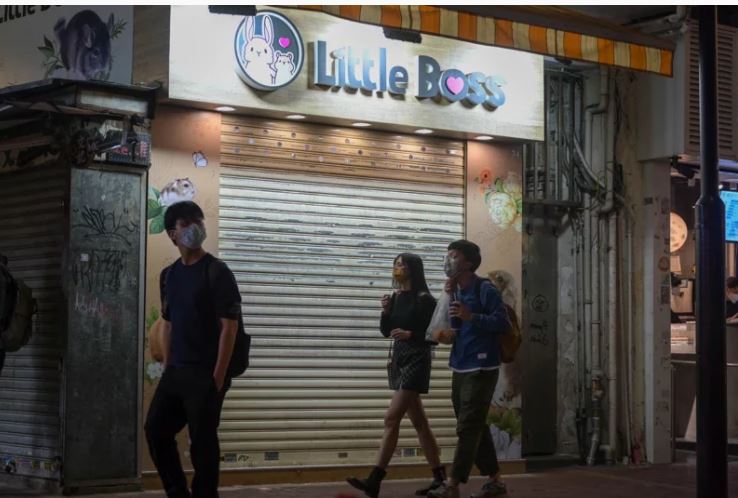 店员染疫 铜锣湾宠物店仓鼠样本呈阳 港府:全数停售扑杀