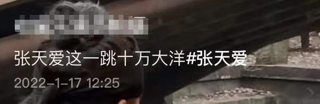 张天爱跳次河6万？ 天价片酬引热议