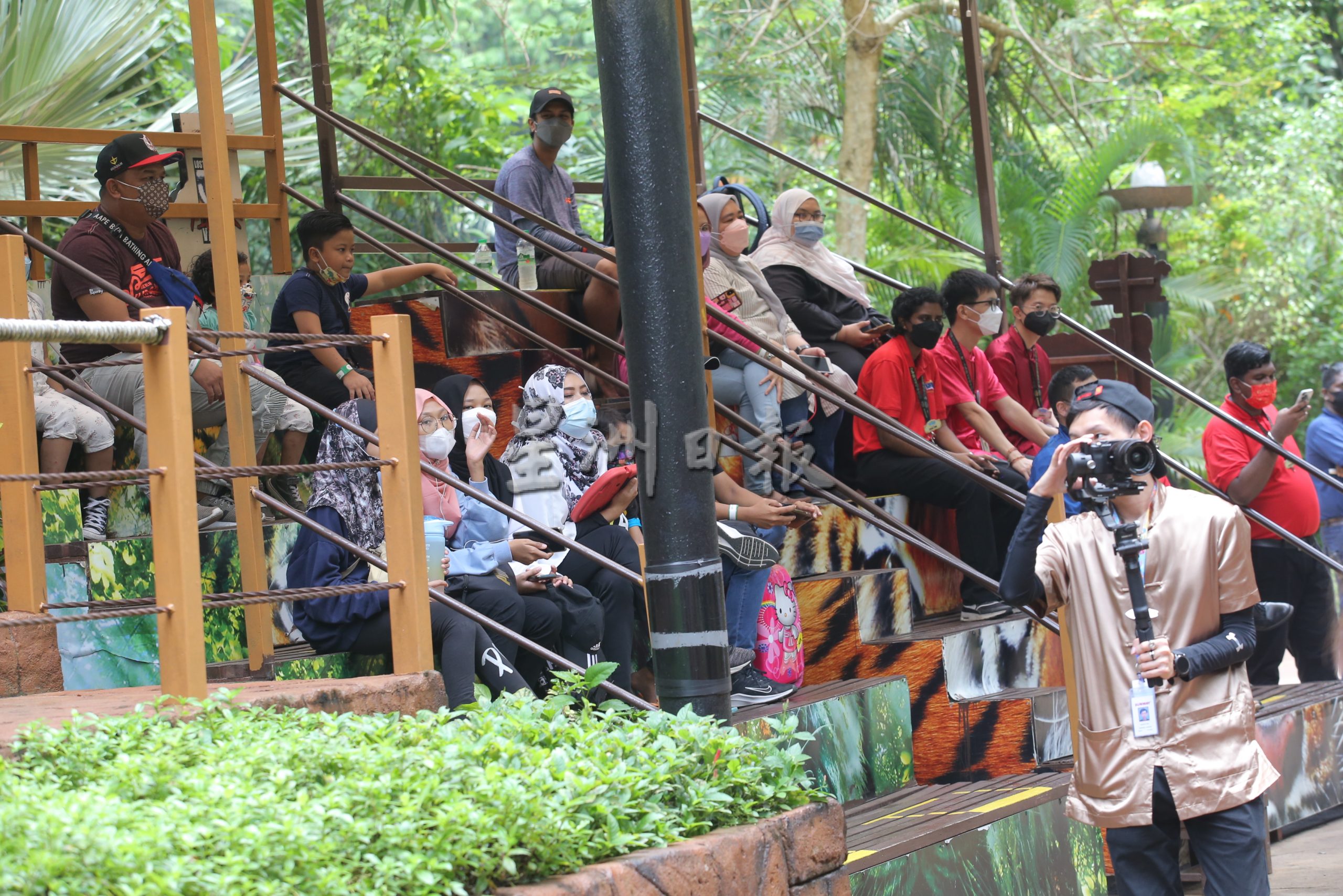 怡保双威打扪迷失乐园 增2只老虎