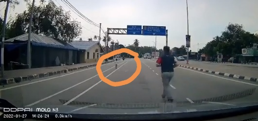 惊险!小孩冲出马路奔跑,好心男停车追上抱到路旁