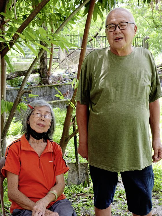 我们不在了，谁来照顾它们？