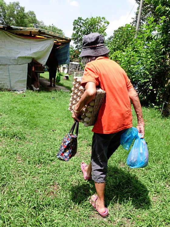 我们不在了，谁来照顾它们？