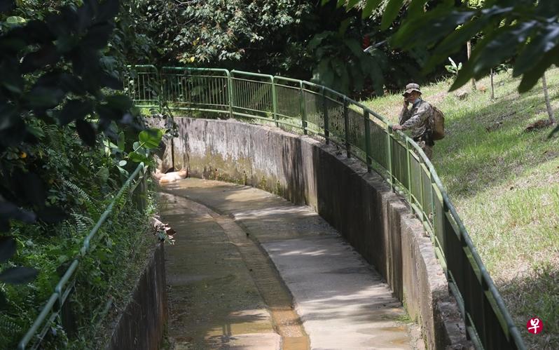 换文换图/狮城武吉知马上段私宅区骇人命案 双胞童卧尸沟渠