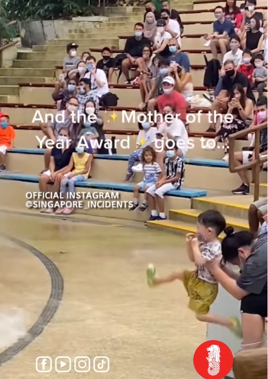 新加坡海狮表演泼水 孩子当母亲的“挡水牌”