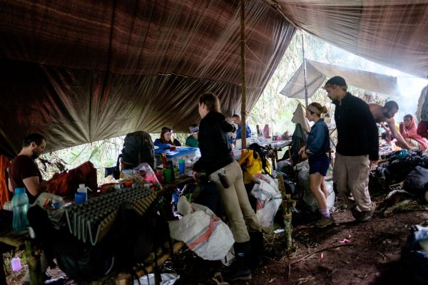 新教育（1月4日）第2版：鼩鼱研究