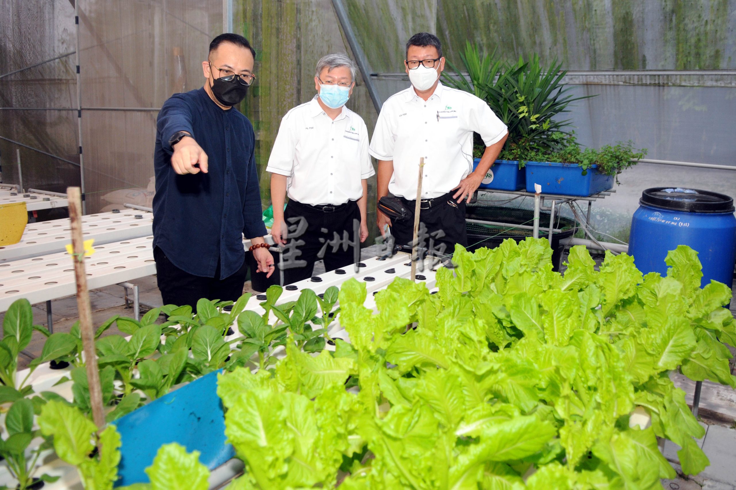 春節稿件(大北馬)體驗不一樣的採石場 128盞燈籠讓你打卡拍照