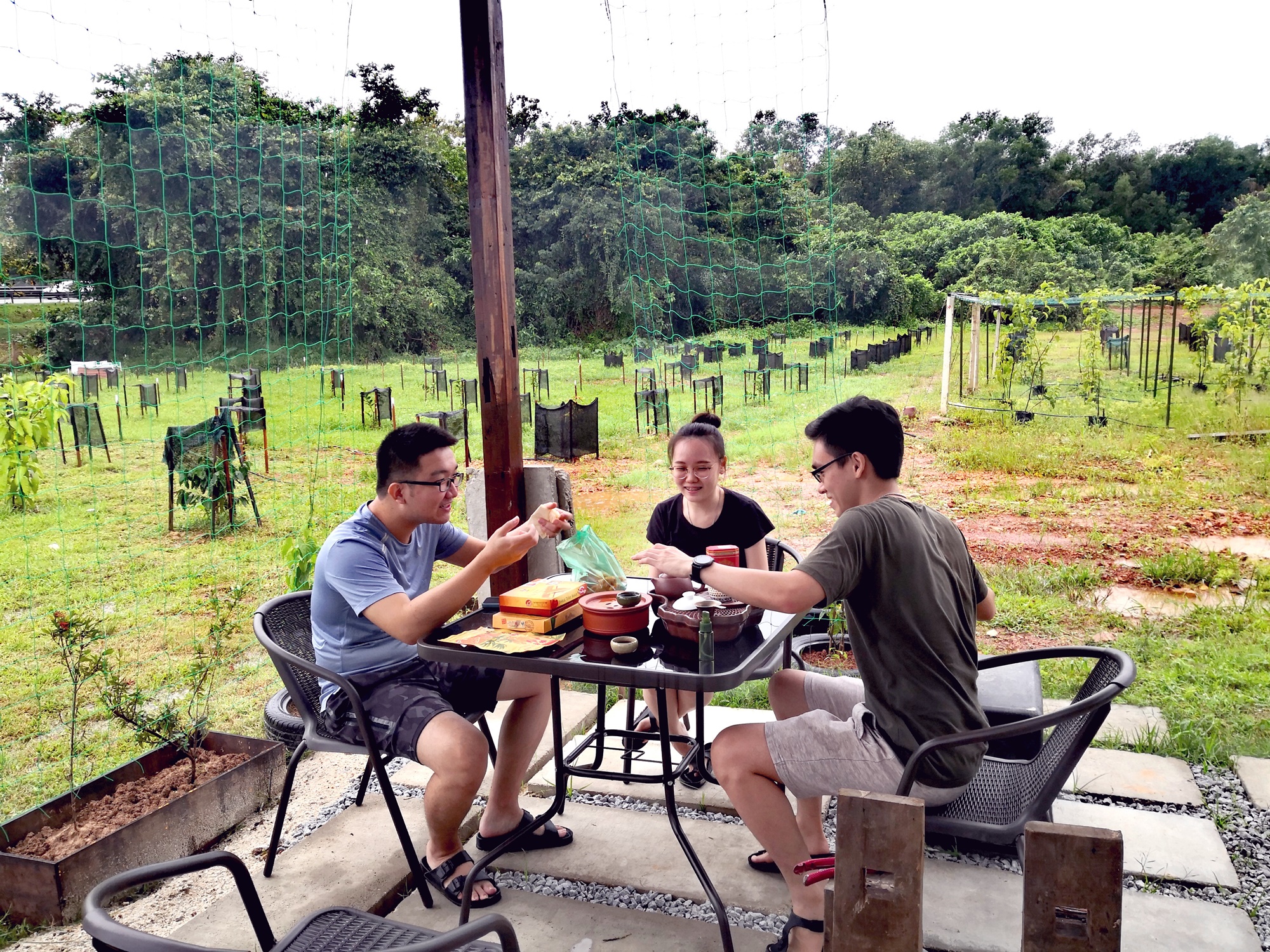 暖势力//双溪大年旅社老板当农民
