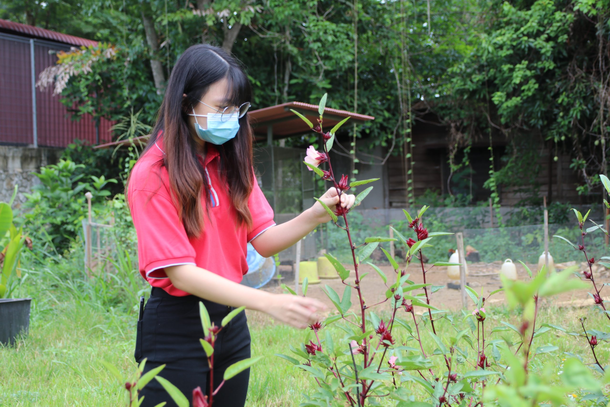 暖势力//双溪大年旅社老板当农民