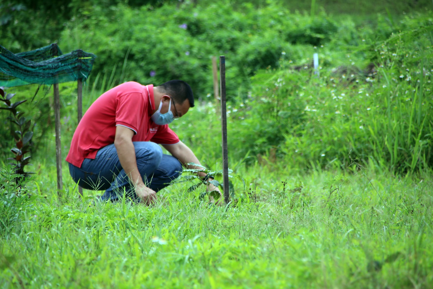 暖势力//双溪大年旅社老板当农民