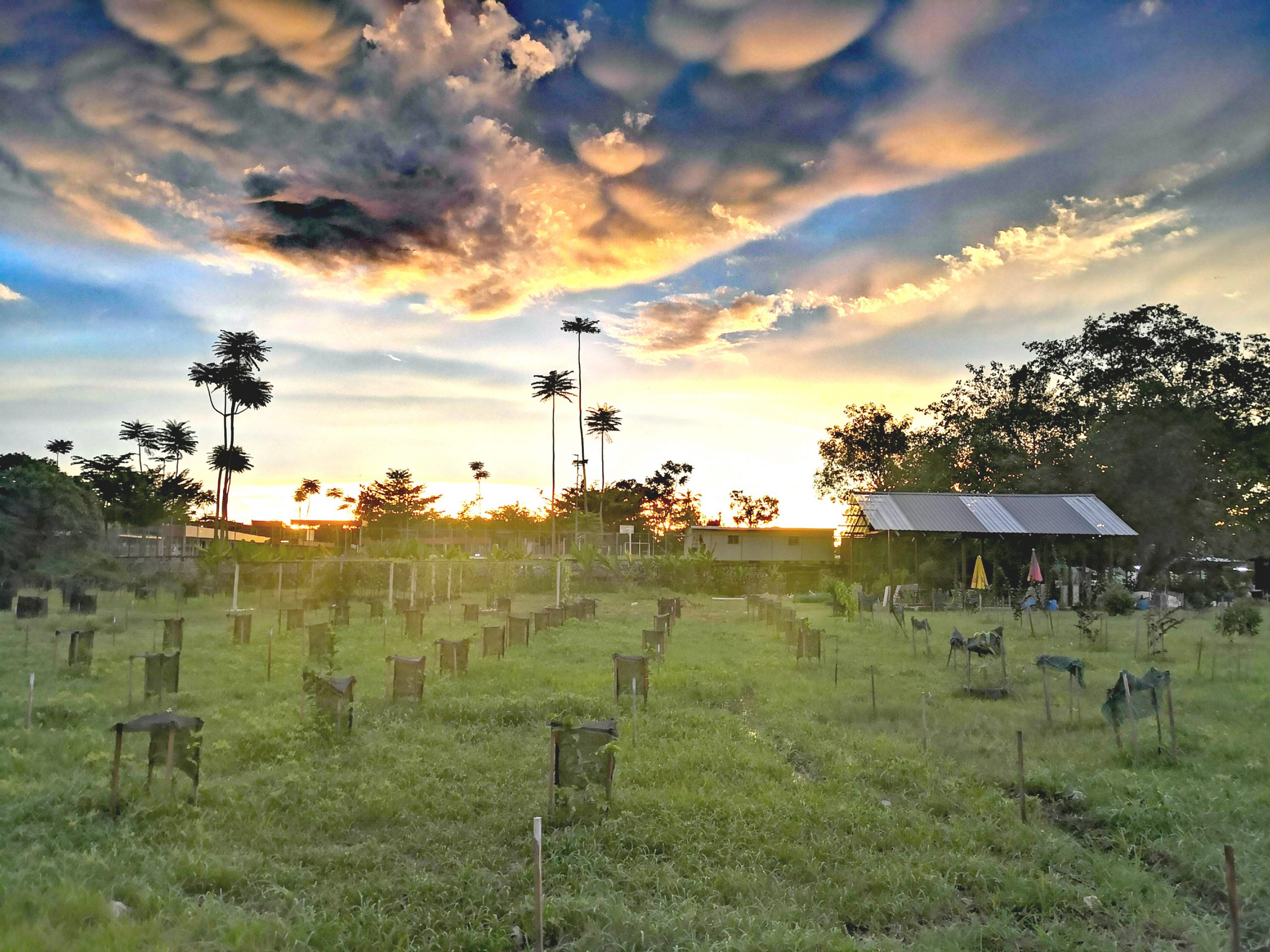 暖势力//双溪大年旅社老板当农民