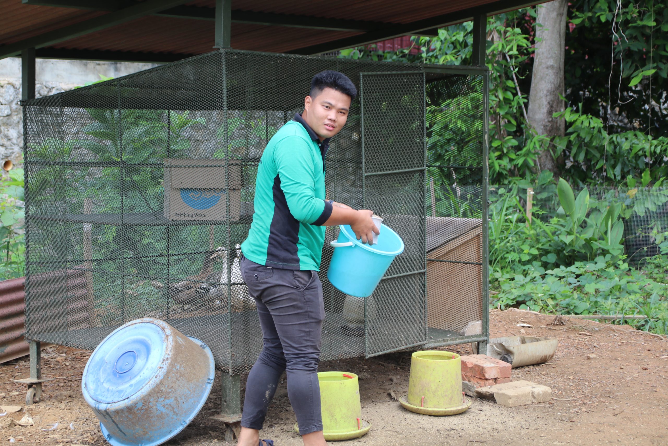暖势力//双溪大年旅社老板当农民