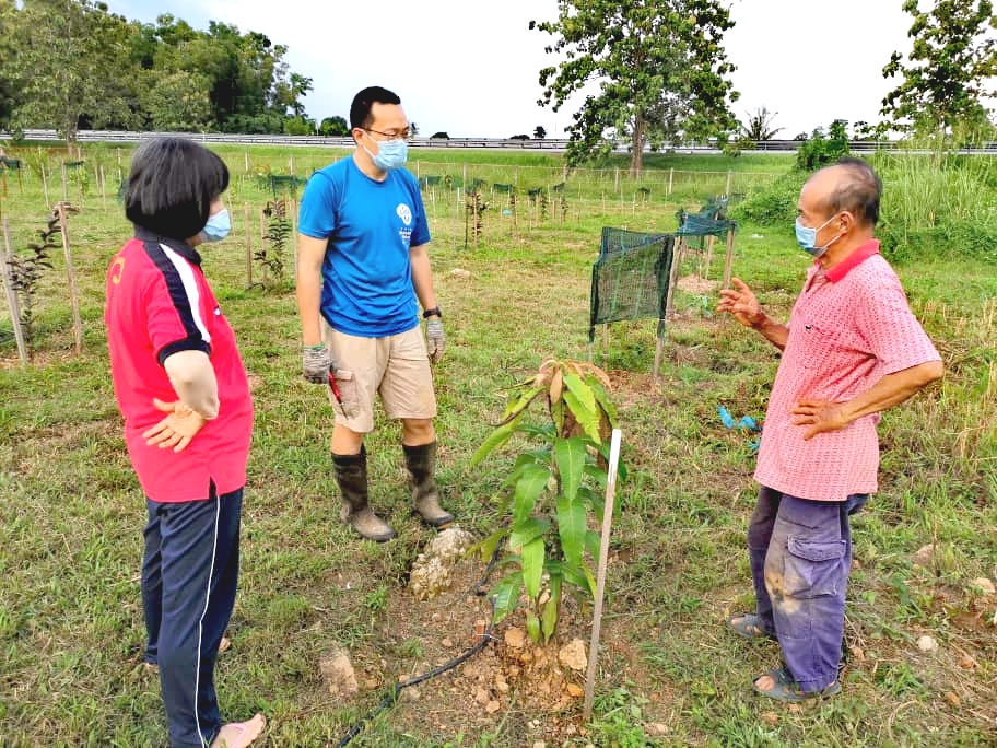 暖势力//双溪大年旅社老板当农民