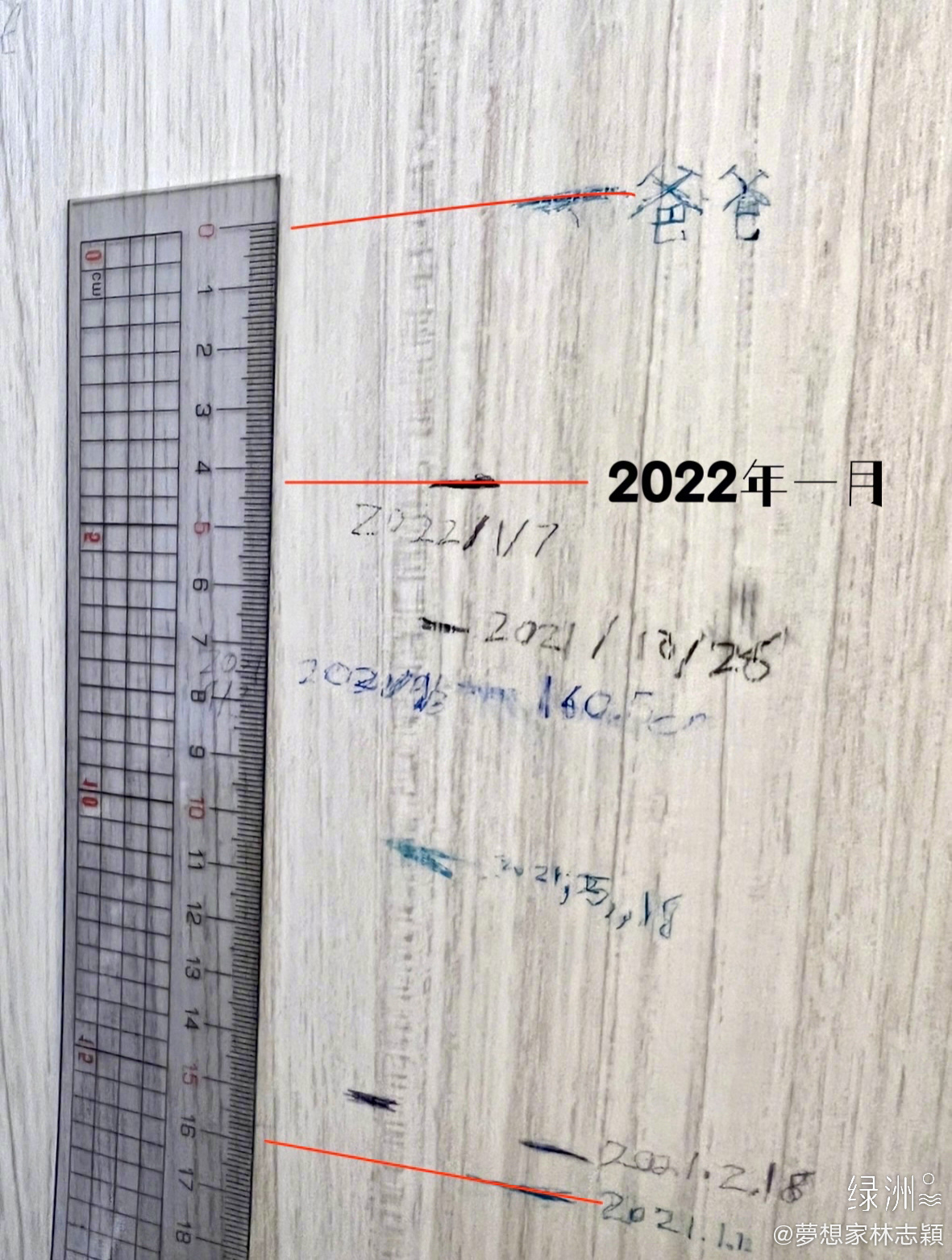 曝Kimi 1年长12公分 林志颖:明年要抬头看他了