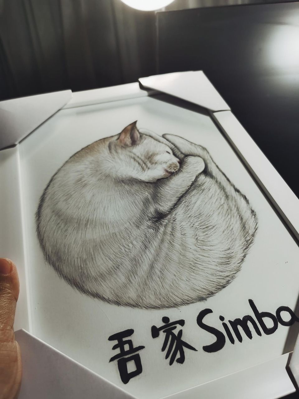 柔：【今日面谱】（1月13日刊）：林怡婷积极救援流浪猫，照顾猫咪后更懂付出