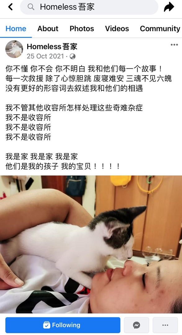 柔：【今日面谱】（1月13日刊）：林怡婷积极救援流浪猫，照顾猫咪后更懂付出
