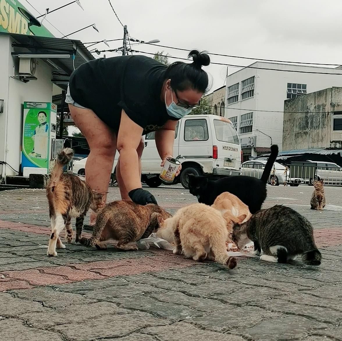 柔：【今日面谱】（1月13日刊）：林怡婷积极救援流浪猫，照顾猫咪后更懂付出