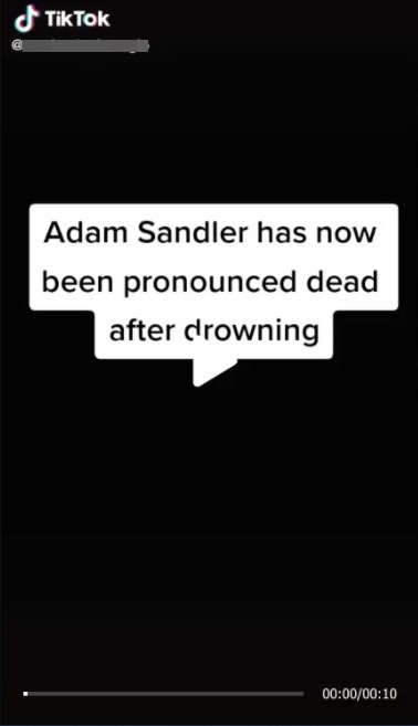 求真/亚当桑德勒