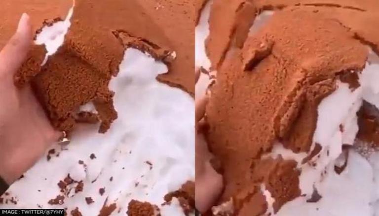 沙地山区降大雪