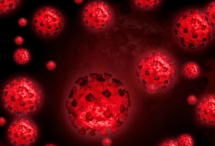 法国惊现新变种B.1.640.2 携带46种突变　传染力更强